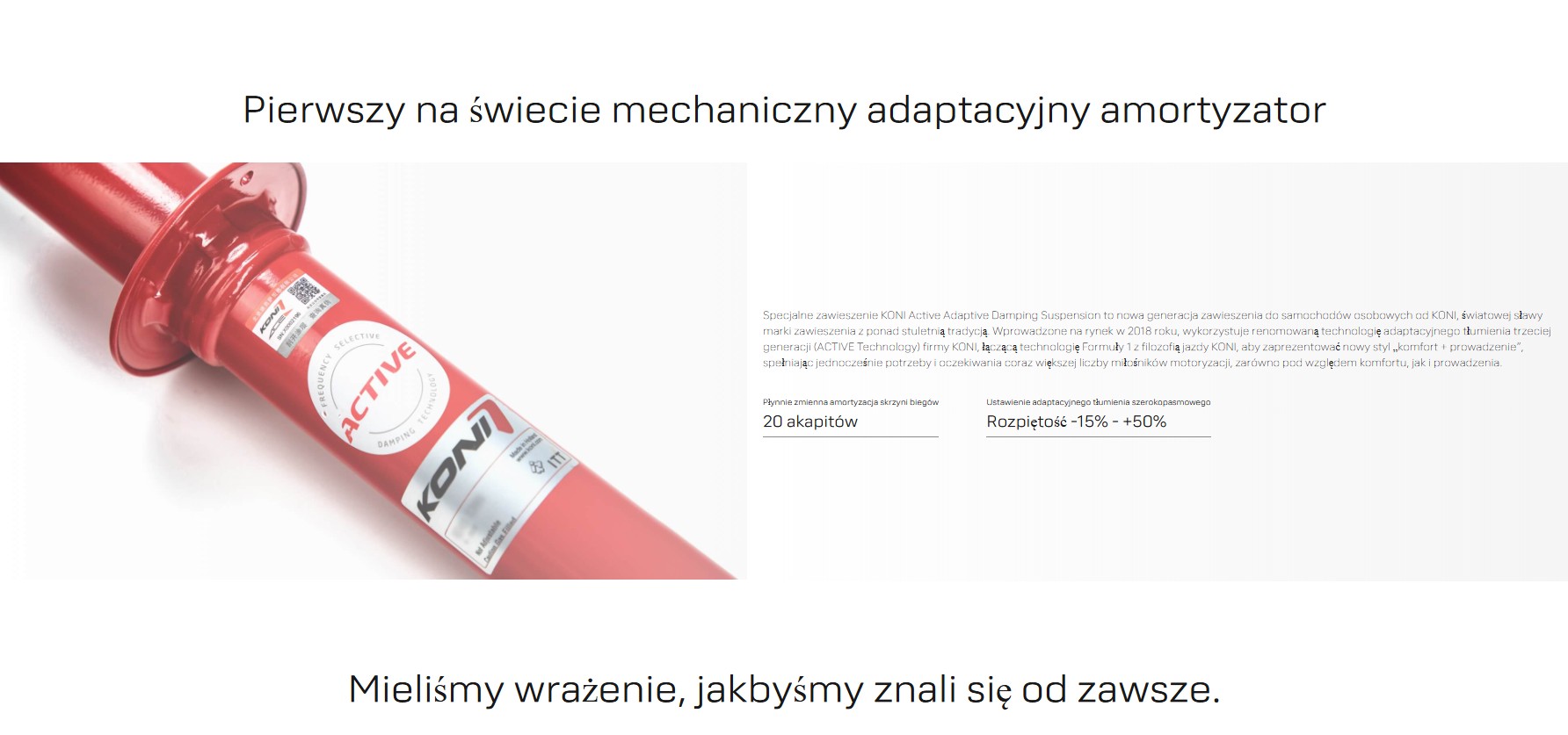 adaptacyjny amortyzator.jpg